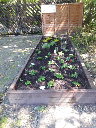 new flower bed